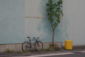ライトウェイ スタイルスのカスタマイズ例