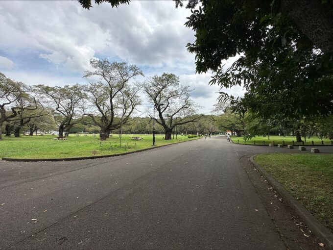 小金井公園自転車広場