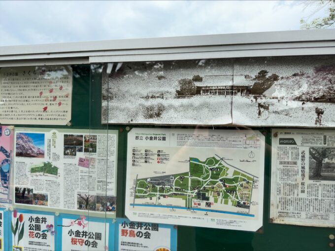 小金井公園案内看板