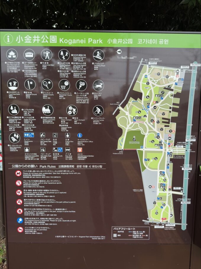 小金井公園 サイクリングセンター地図 自転車