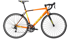 FR50 Felt Web