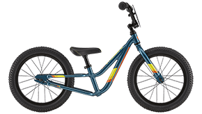 ディープティール