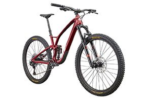 SENSOR CARBON ELITE バーガンディー