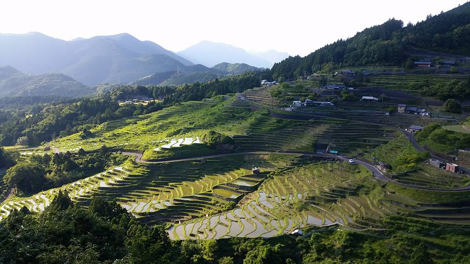 18838825_1300513663399549_6520315566533181367_n