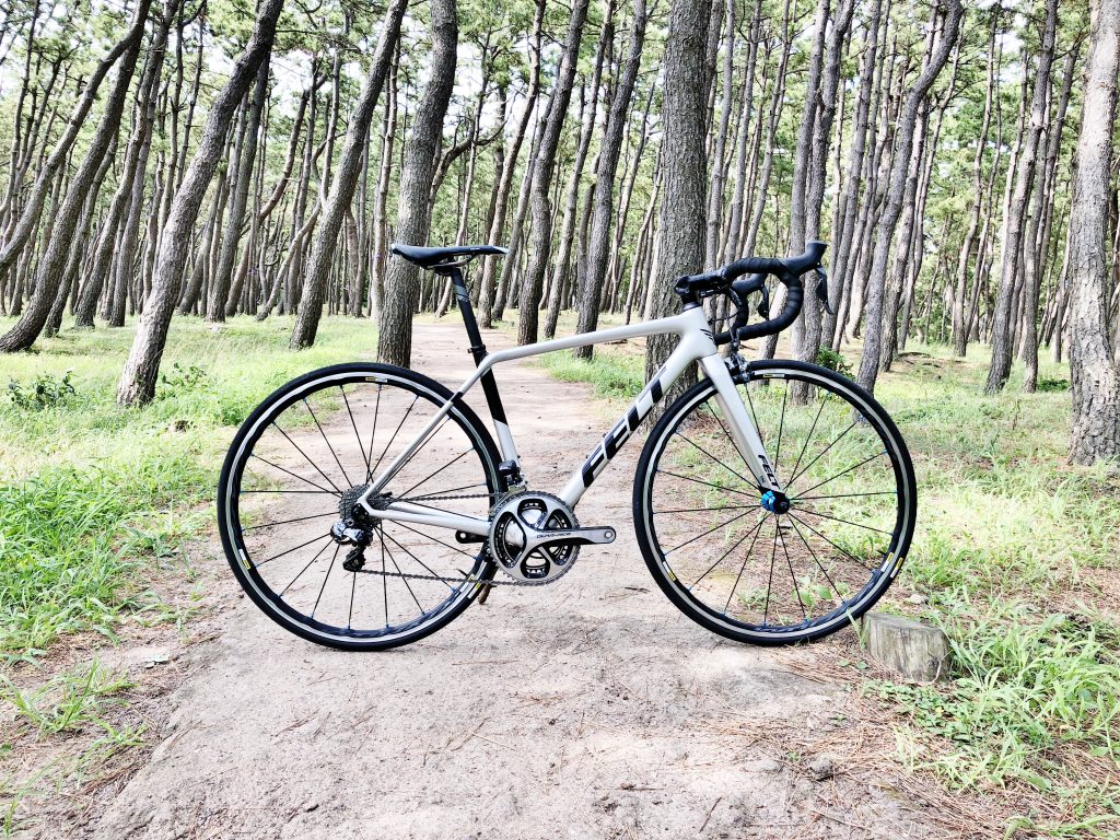 2019 FELT FR1