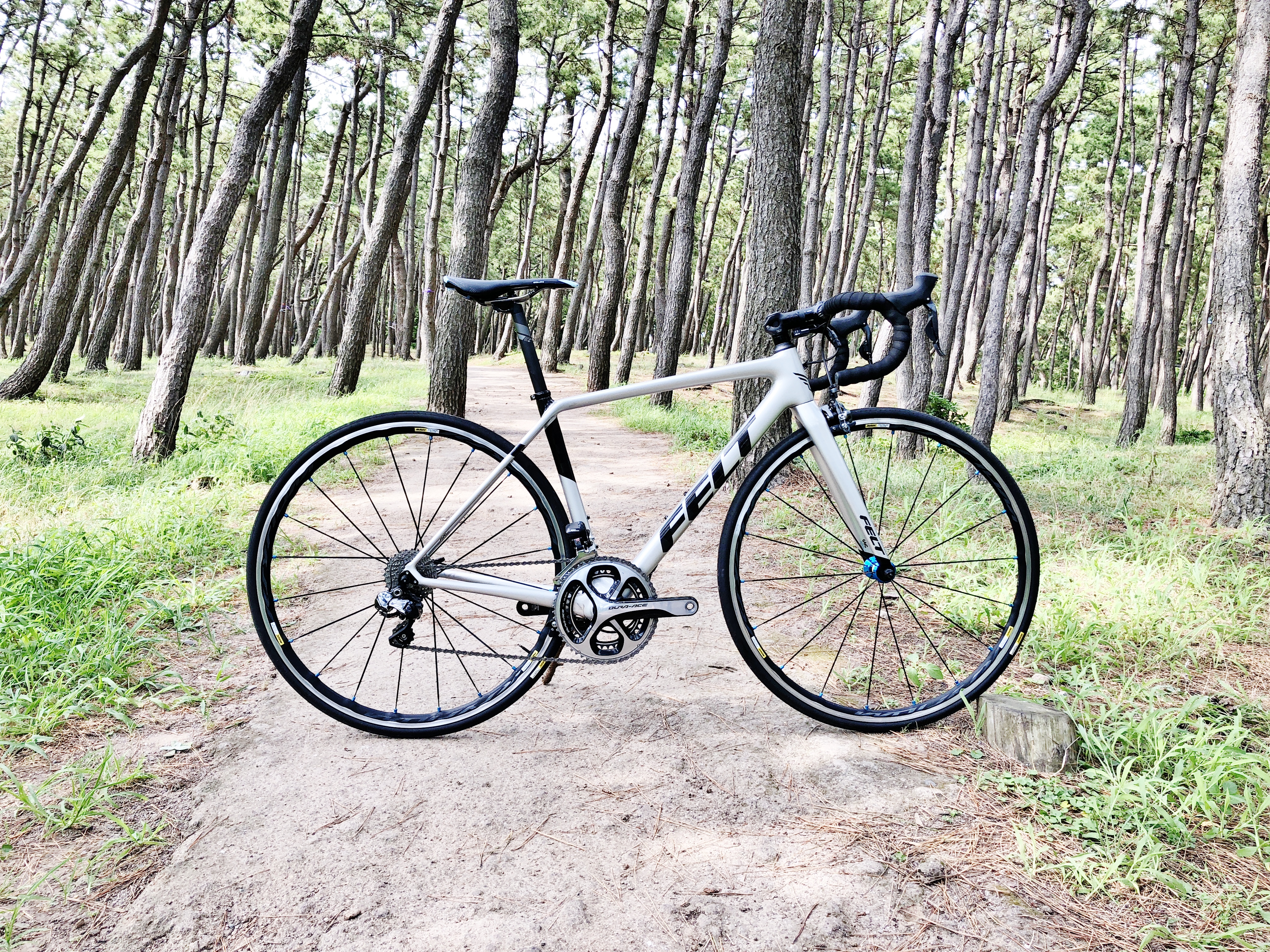 ロードバイク】2019 FELT FR1フレームの紹介