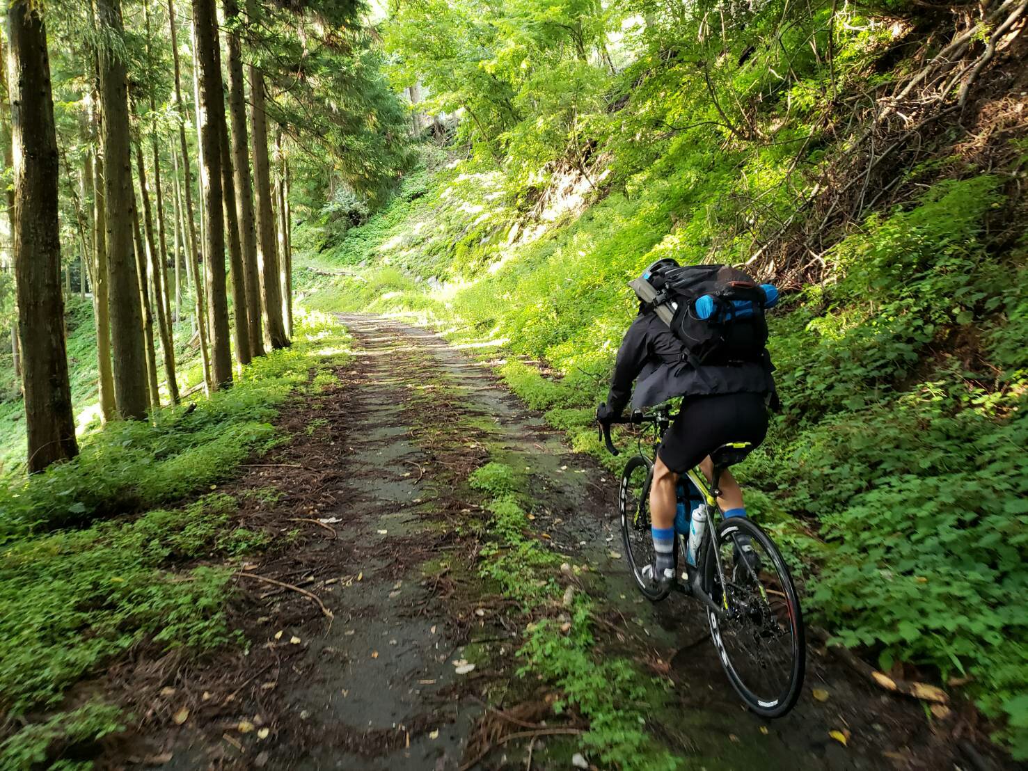 Felt ロードバイク Vr 自転車キャンプツーリング仕様と持ち物を詳しく紹介