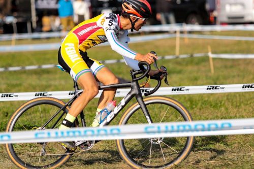 【レイズド・Foil】【英語版】渓間の声、ジニア EX+](レイズドFOIL)渓間の声、ジニア/Zinnia, Valley's Voice