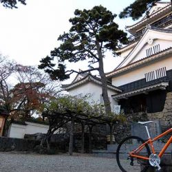 第54回　岡崎城（愛知県）