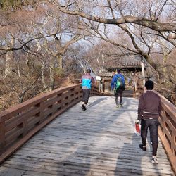 第71回　高遠城（長野県）