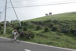 自転車旅行　第32回 鹿児島、宮崎県
