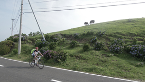 自転車旅行　第32回 鹿児島、宮崎県