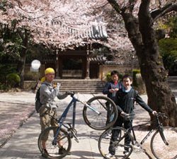 自転車散歩道　2008年 4月 築地