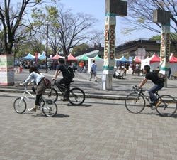 自転車散歩道　2009年 4月 自由が丘と駒沢公園