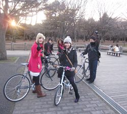 自転車散歩道　2009年 12月 クリスマス イルミネーション