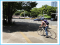 自転車散歩道　2011年 第3回　新宿中央公園周辺