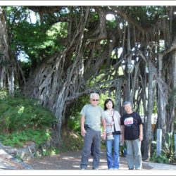 プロジェクト135パート2　第9回 屋久島