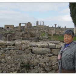 プロジェクト135パート2　第18回 （モロッコ）ヴォルビリス 古代遺跡