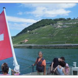 プロジェクト135パート2　第7回 ラヴォー地区のブドウ畑