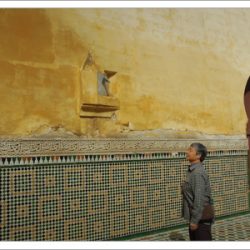 プロジェクト135パート2　第19回 （モロッコ）古都メクネス