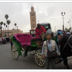 プロジェクト135パート2　第17回 「モロッコ、マラケシュ」　その1