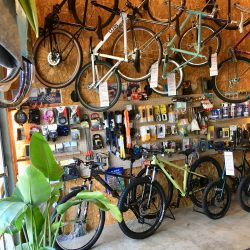 GT Bicycles常設店紹介 「XIE BICYCLE（クシー・バイシクル）」