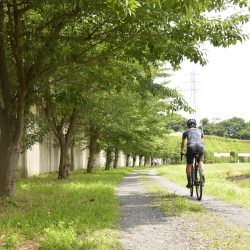 GT GRADE 近所で楽しむグラベルロード