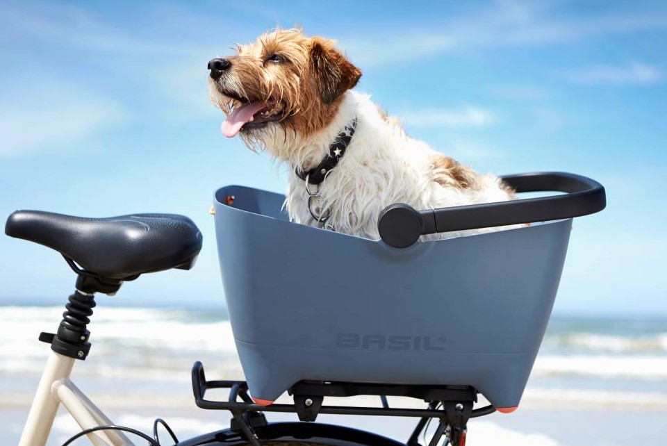愛犬を自転車に乗せてサイクリング BASIL BUDDYの紹介