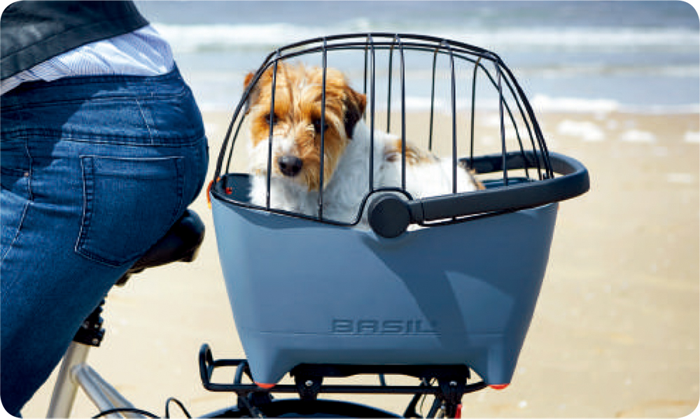 愛犬と一緒にサイクリングしませんか? 東京・練馬区の自転車屋