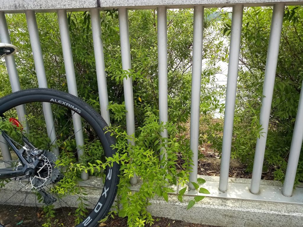 ディスクロード用ホイールALEXRIMS RXD2 CX車をツーリングバイク