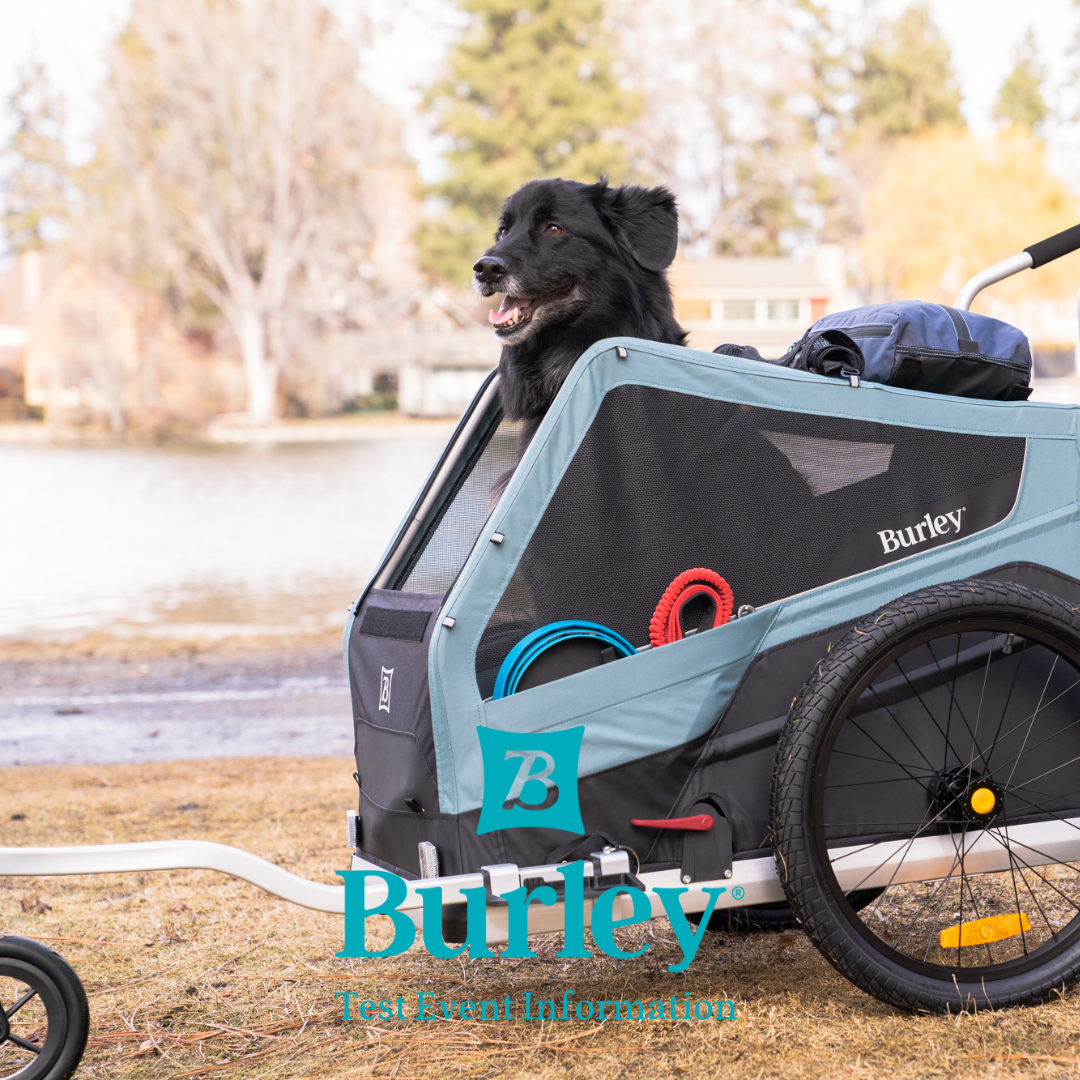 愛知県名古屋市の「モトベロ星が丘店」で、BURLEY（ハニービー・バーク