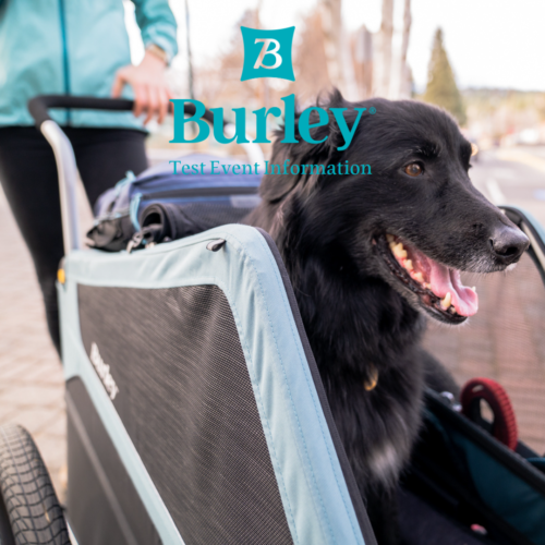 静岡県静岡市「バイシクルわたなべ カネボウ通り店」にて、BU…