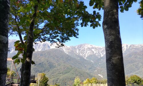 6/17,18　ダウンヒルシリーズ＃4　白馬岩岳MTB PA…