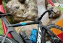 【番外編】体重7kg増のおデブがFELT AR FRD Ultimateで筑波山ヒルクライムに挑む！