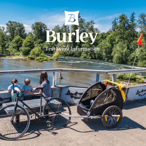 東京都多摩市「バイクプラス多摩センター」にてBURLEY P…