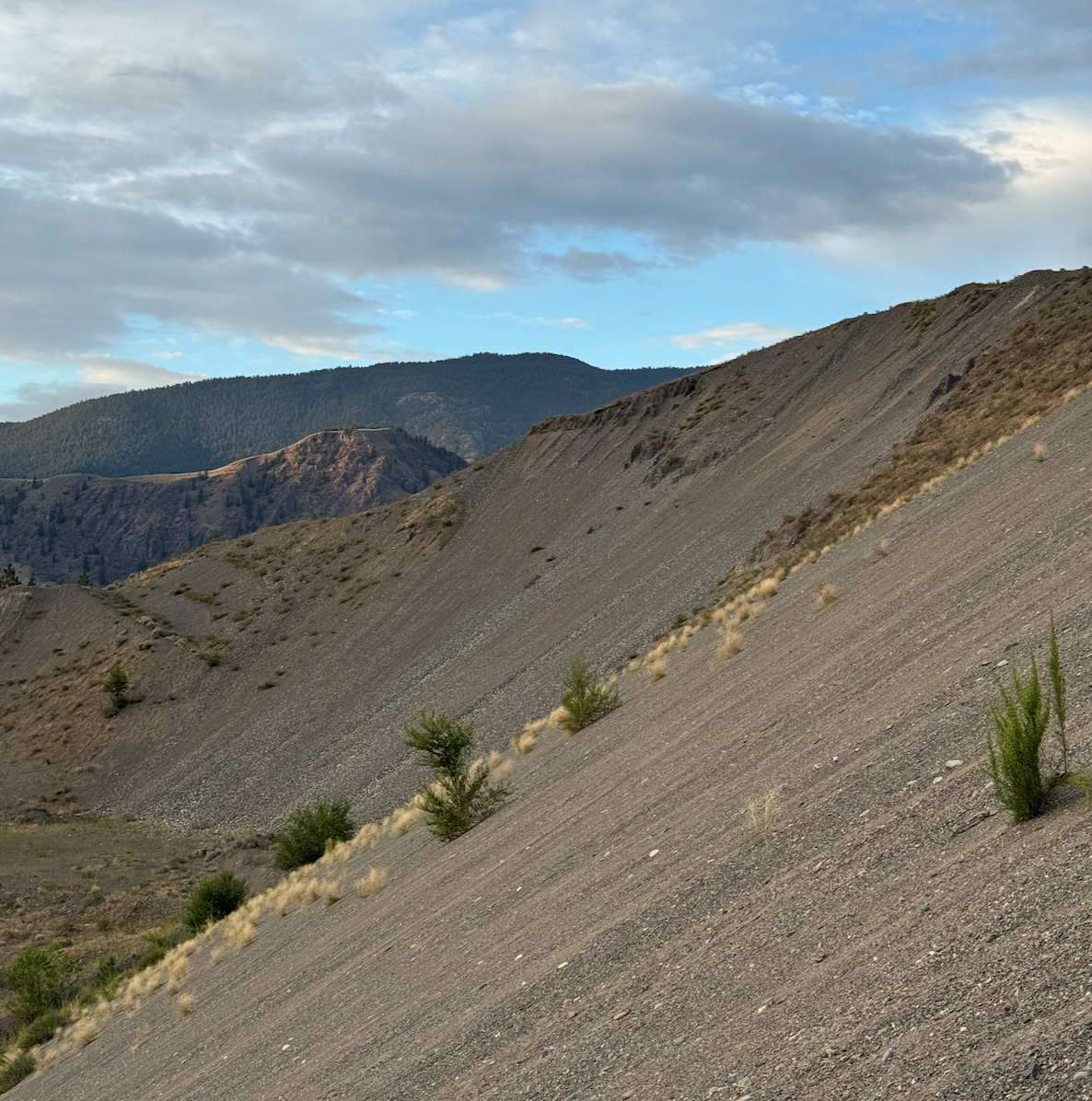 朝倉選手2025カナダ_20