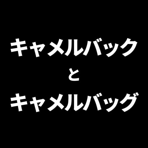 キャメルバックとキャメルバッグ、どっちが正しい？