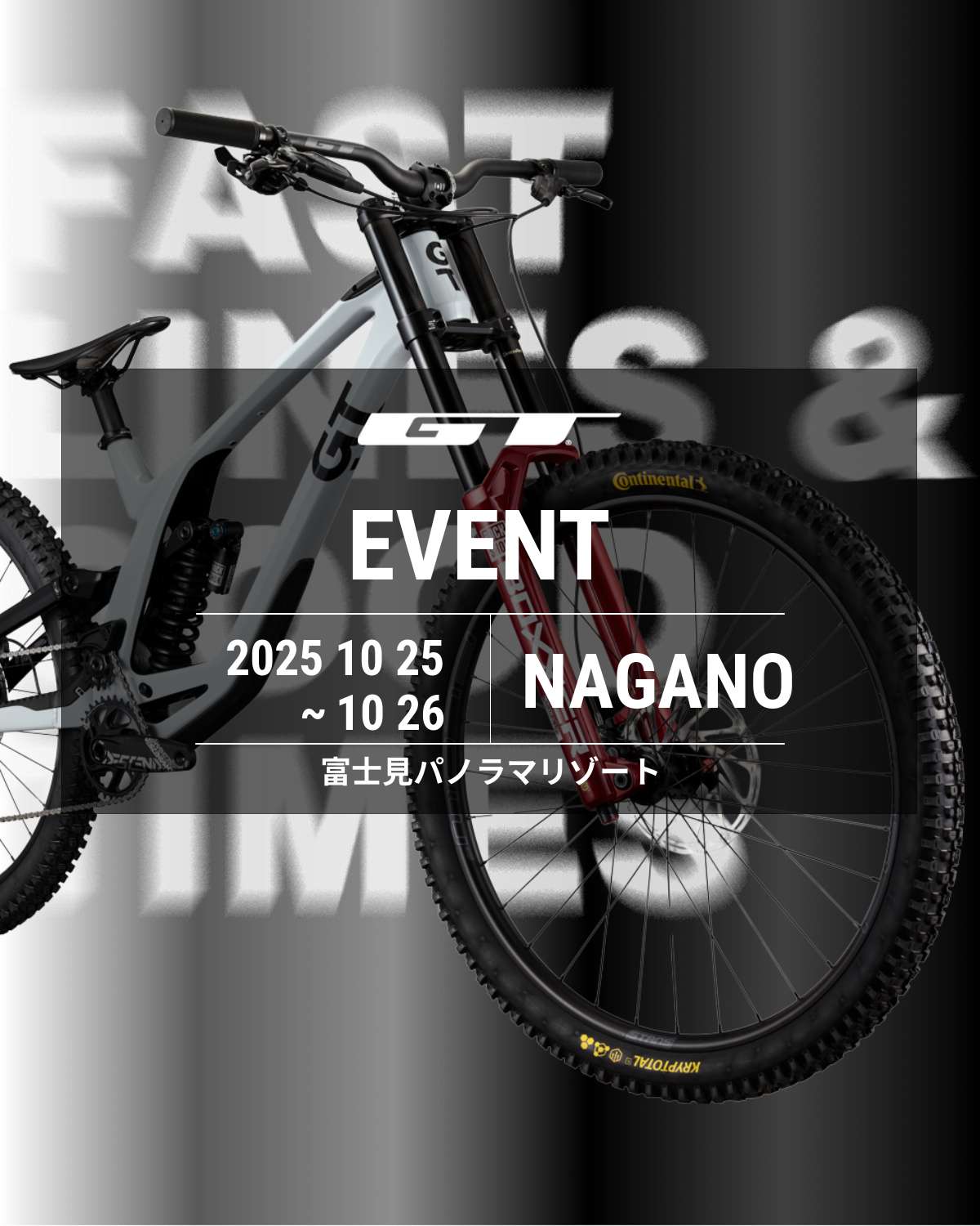 富士見パノラマDACHYONダキオン　テックインTECHIN DH MTB 富士見パノラマDACHYONダキオン テックインTECHIN DH MTB