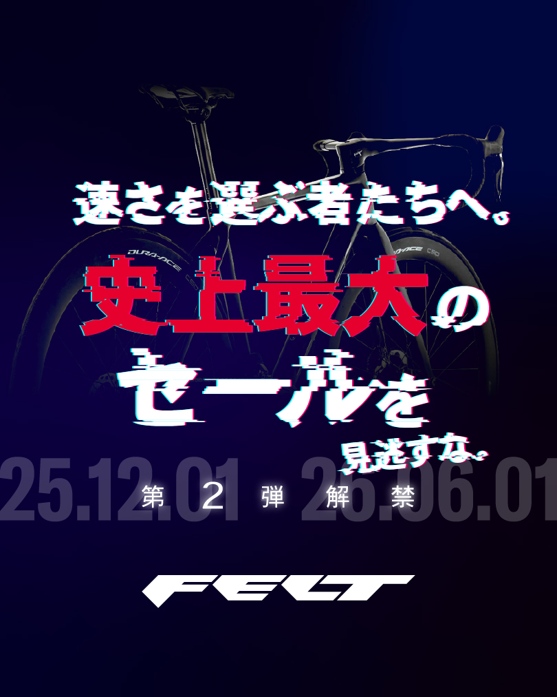 フェルトar2緊急値下げ フェルトar2緊急値下げ