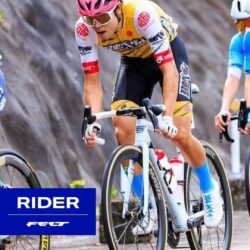 【レースレポート】2026年9月 南魚沼ロードレース 弱虫ペダルサイクリングチーム