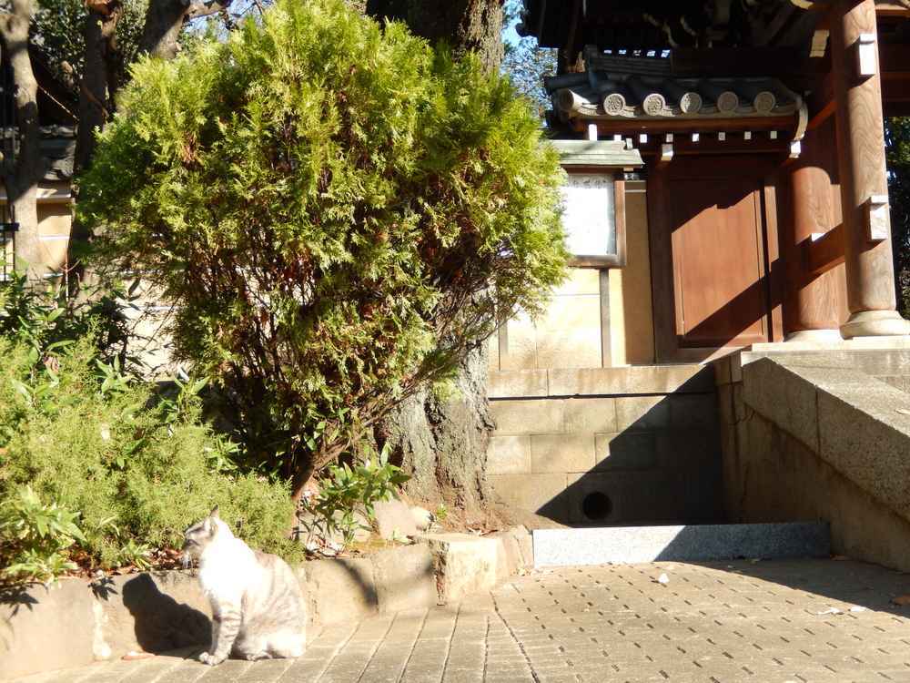 山手線巡り～目白編～自転車女子散歩