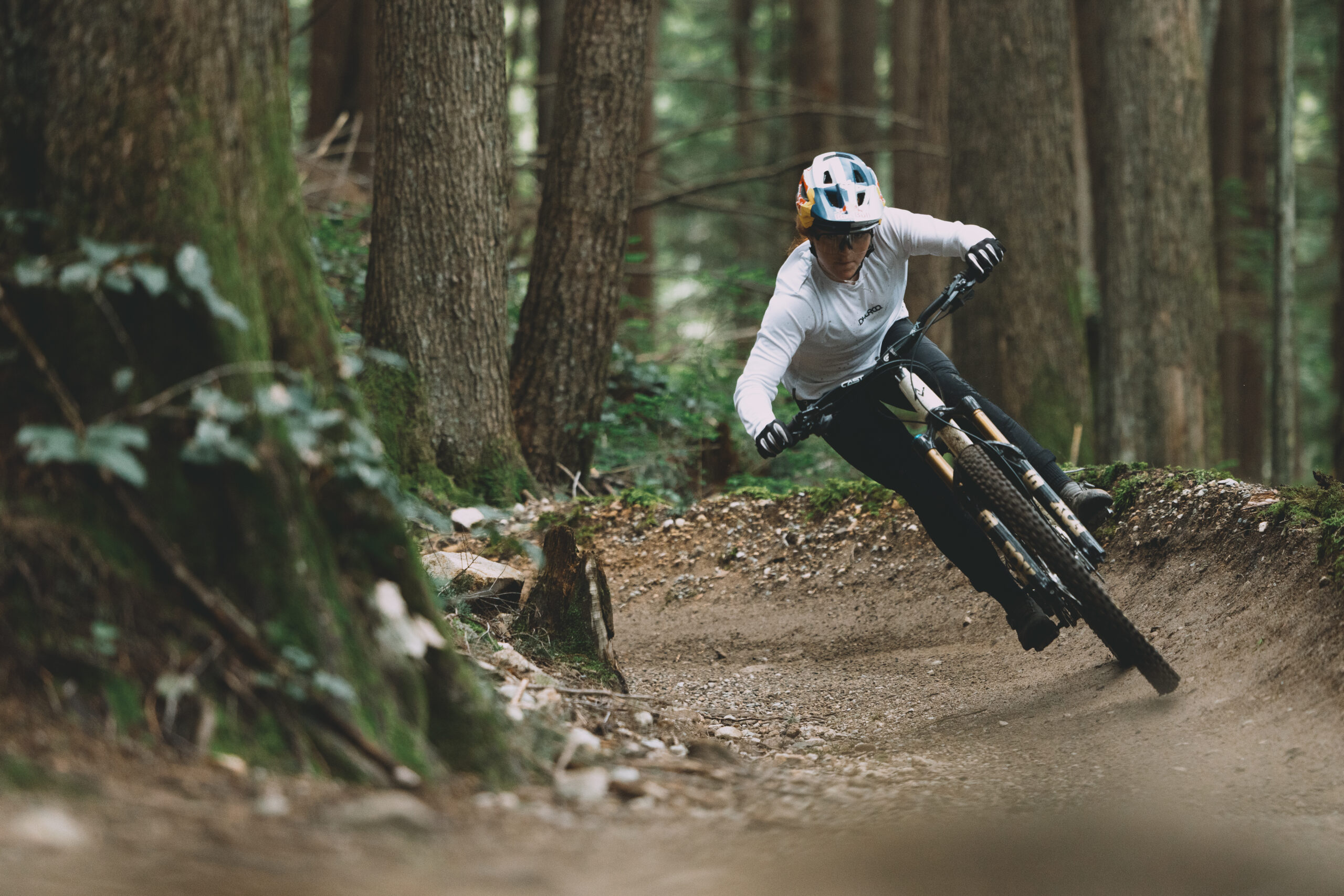 826250_Synthesis_Alloy_Gracey-12012-8