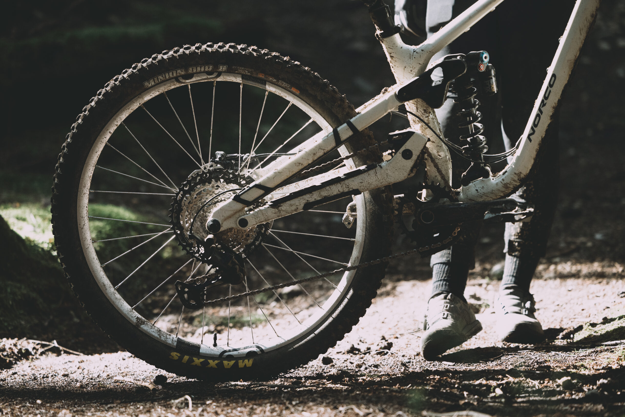 826250_Synthesis_Alloy_Gracey-12017-8