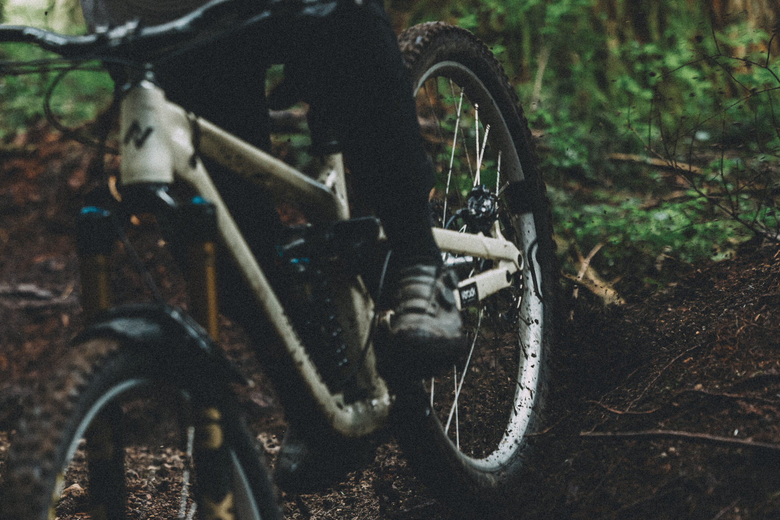 826250_Synthesis_Alloy_Gracey-1205-8