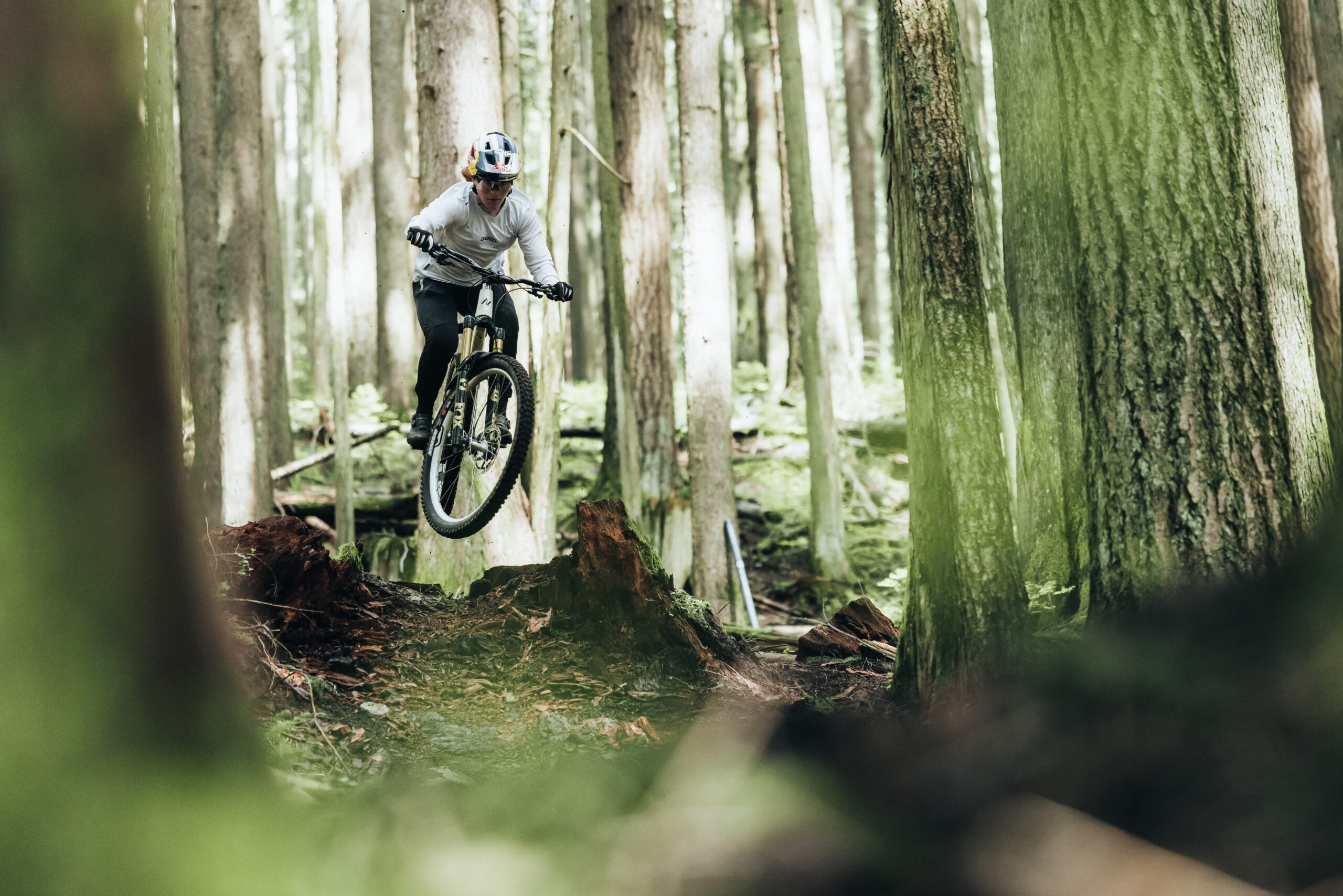 826250_Synthesis_Alloy_Gracey-1208-8