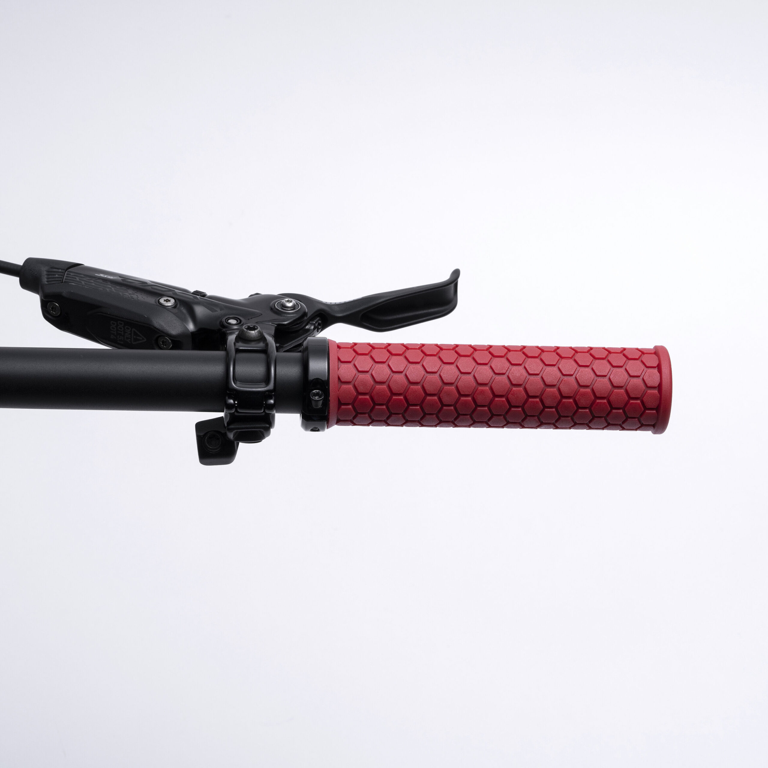 Feature_402925010003_FHG-01_Honey_coral_assembled-large-3