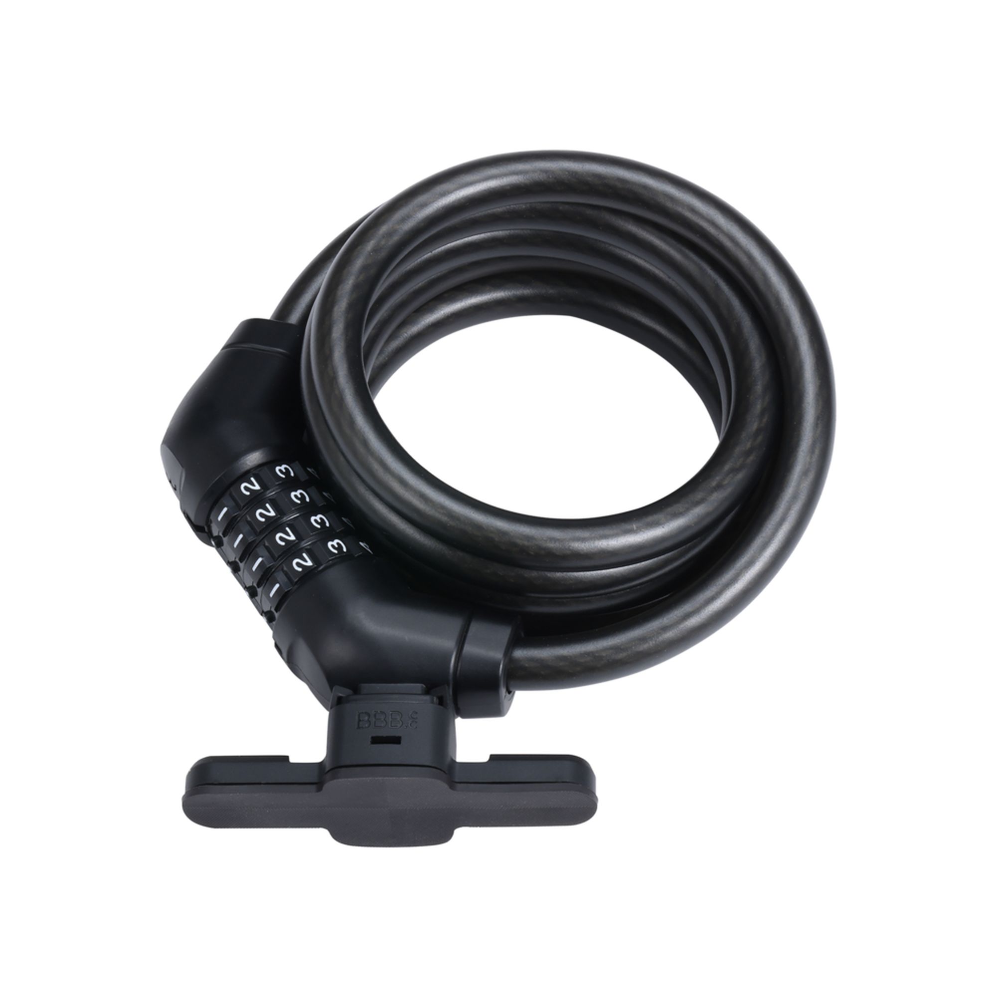 030411_BBL-101B_CodeGuard