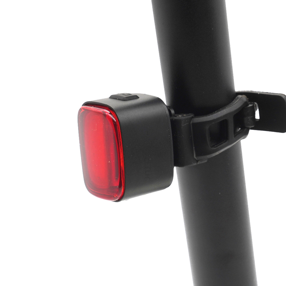 029409_01-20260305084148 029409_01-20260305084148