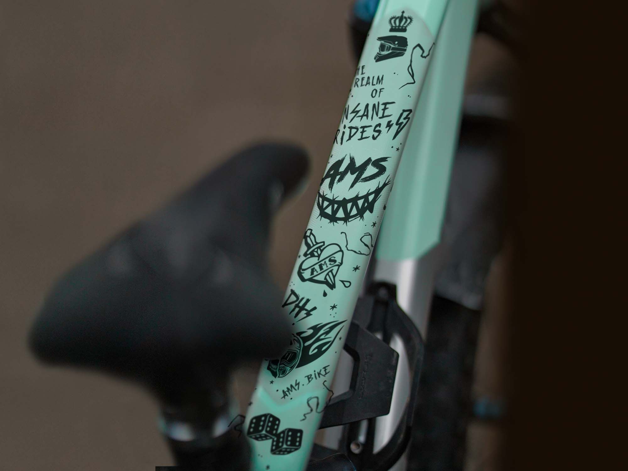 035770_AMS-FRAMEGUARD-EXTRA-HELL20GANG20BLACK_3